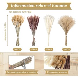 100 Piezas de Pampas Decorativas, Colas de Conejo de Hierba Natural, Plantas Secas para Decoración de Jarrones y Ramos, Varios Tonos