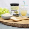 Boswellia Extract Powder Boswellic Acid 65% or more 200g /