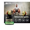 Optimum Nutrition Optimum Nutrition 100% Pure Creatine Monohydrate Micronized Powder,