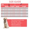 Maiiu Reflective Dog Collar with Safety Locking Buckle, Adjustable Soft