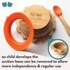 Bubbaboo Bamboo Baby Bowl and Spoon Set Baby Suction Bowl