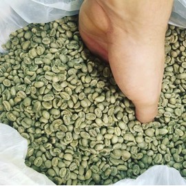 Colombian Unroasted Green Coffee Beans - 5 Lbs. Organic Raw Specialty Coffee Beans