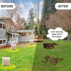 LEBMP LEBMP Snake Repellent for Yard Powerful, Snakes Away Repellent