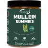 EOCUTE 9 in 1 Mullein Leaf Extract Gummies for Lung