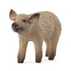 Schleich Realistic Baby Pig Figurine Educational Toy For Kids Farm