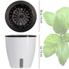 ONVAYA® Herb Pot Self-Watering | Water Level Readable | Set