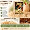 Eyaeyao 16 oz Natural Pine Shavings, Absorbent Chicken Coop Bedding