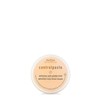 Aveda Control Paste Hair Pomade | Medium Hold Pomade |