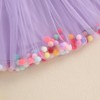 Tutu for Toddler Girls Baby Tulle Rainbow Skirt Kids Little