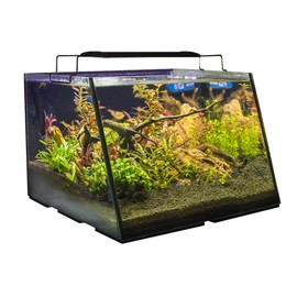 Lifegard Aquatics R800206 Full-View 5 Gallon Aquarium with Built-in Back Filter