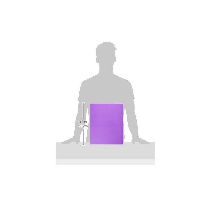 Crossbow Education: Monitor Overlay 19inch - Purple
