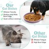 Apatal Silicone Dog Bowl Shallow Cat Food Bowls 7in Flat