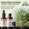 Yucca Tincture, Organic Yucca Extract (Yucca Glauca) Dried Root Herbal