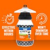 Terro Outdoor Reusable Fly Trap - Poison Free Solution