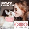 Dog Neck Brace Elizabethan Collar for Pet After Surgery Recovery