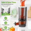 Secura Mesh Free Slow Juicer with Stainless Steel Prong Spiral