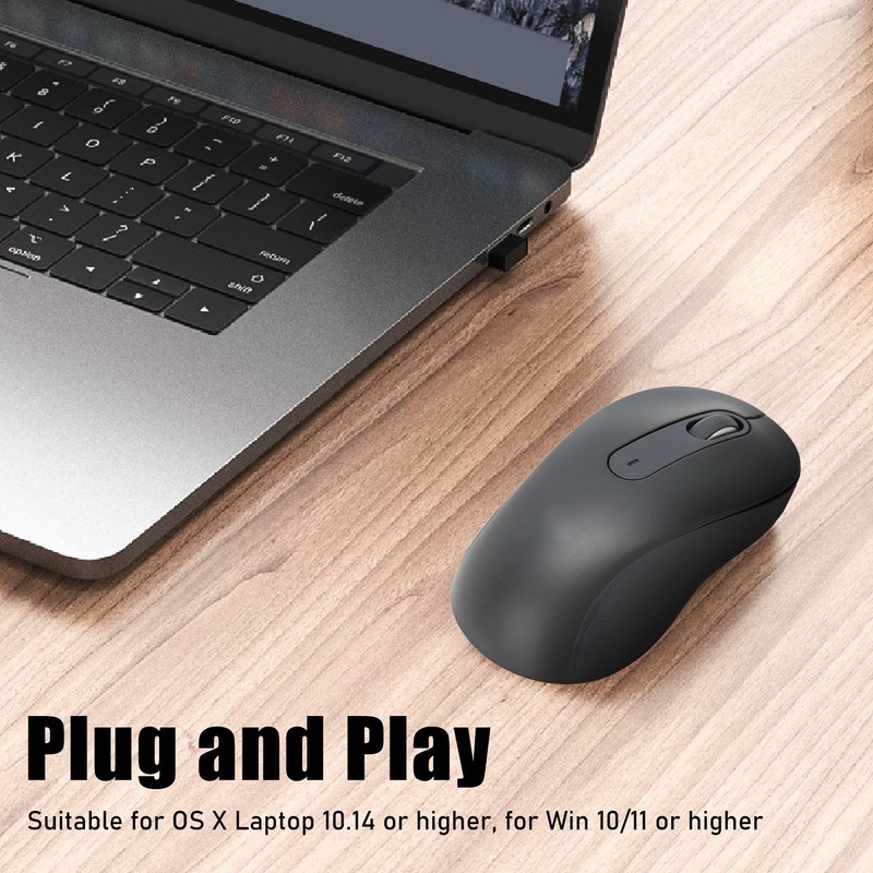 Wireless Mouse Black BT Or USB Receiver Silent Click Adjustable