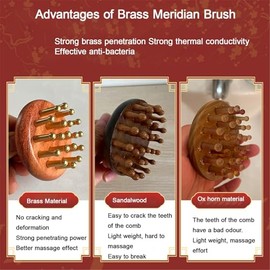 Multiusos Latón Meridian Brush Gua Sha Cepillo De Masaje Y Cepillo Meridian para El Drenaje Linfático, Alivio Corporal Y Crecimiento del Cabello(1pcs)
