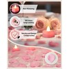 Amagic 1000 Pieces Pink Artificial Rose Petals with 12 Pink