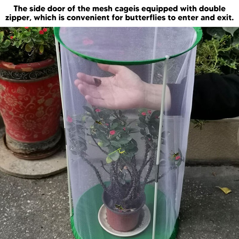 Cylindrical Butterfly and Insect Observation Cage Transparent Mesh Habitat Cage