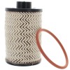 NEW Fuel Filter Element Kit for Mahindra Roxor 1001CAA14881N