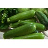 CEMEHA SEEDS - Seeds Green Zucchini Courgette Squash Tsukesha Non