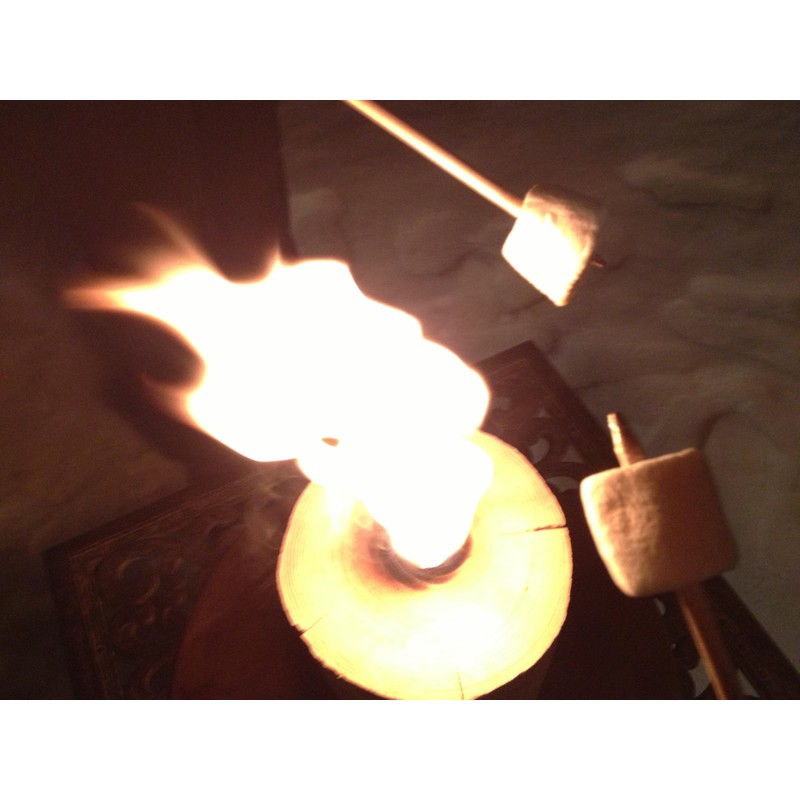 One Log Fire, Swedish Fire Log Camping Kit