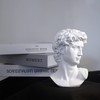 Waldosia 6 Inch Michelangelo's David Bust Statue (White)