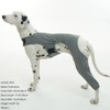 ROZKITCH Dog Surgery Recovery Sleeve Rear Right Left Leg, Pet