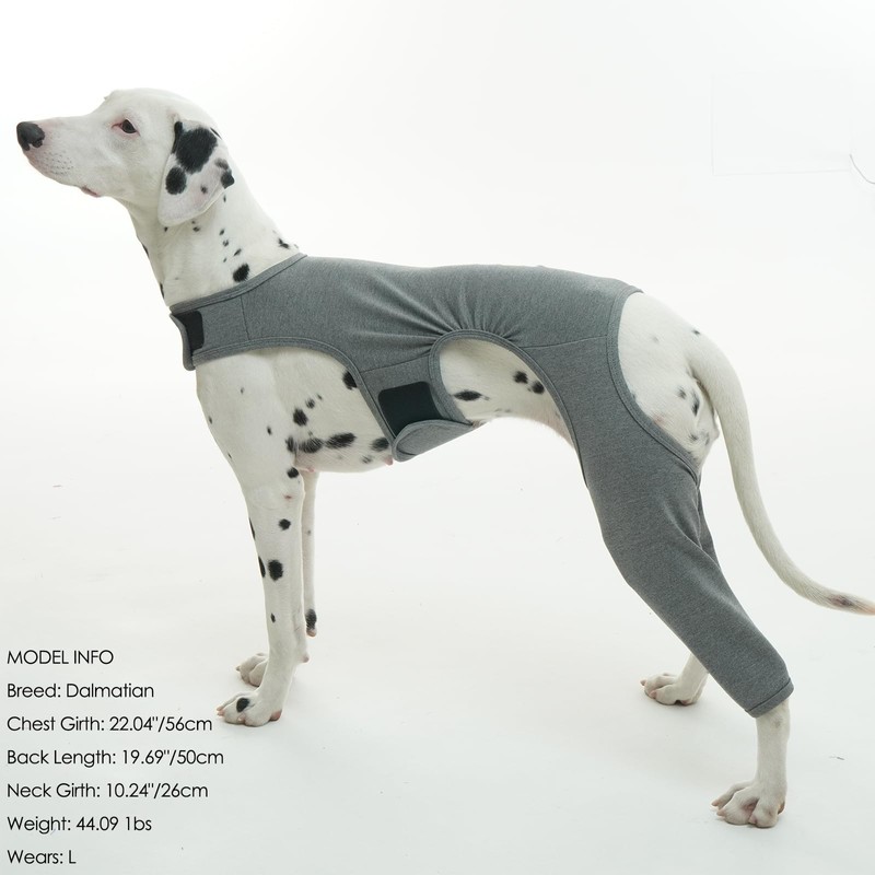ROZKITCH Dog Surgery Recovery Sleeve Rear Right Left Leg, Pet