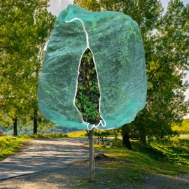 2pcs 10ftx10ft Large Fruit Tree Netting Bags, Bird Netting Cover for Protect Plant Mulch with Zipper and Drawstring Lightweight Mesh Net for Garden Vegetable Bush Protection (Green)