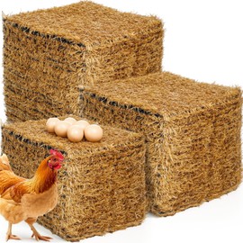 Maasechs 60 Pcs Chicken Nesting Pads for Chicken Coop 12'' x 12'' Laying Hen Nesting Pads Box Liners Washable Chick Bedding Reusable Fake Turf Mats for Farm Hen Nest Box Liners Accessories