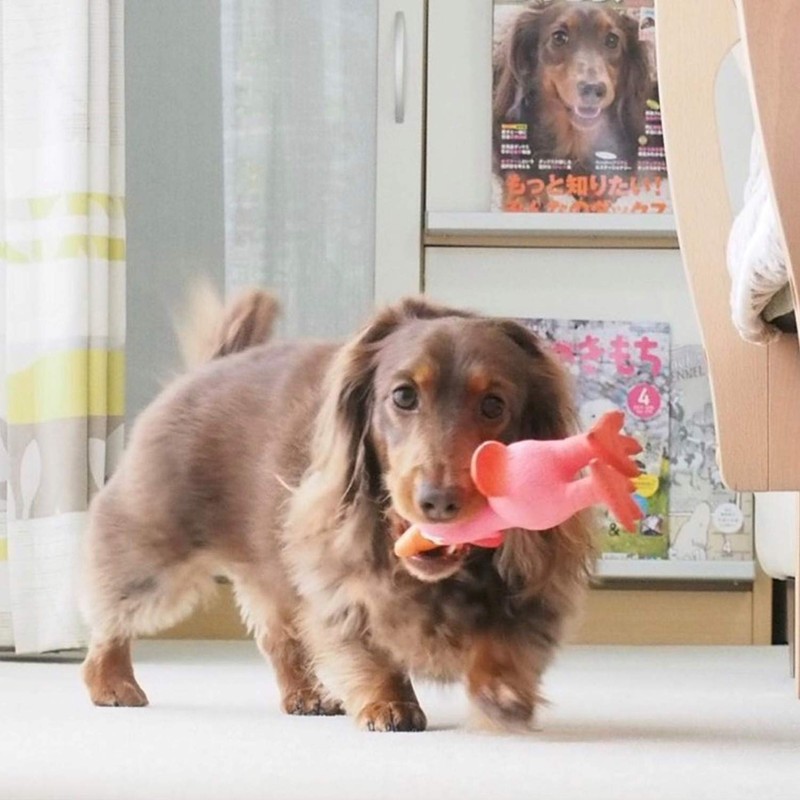 PLATZ PET SUPPLIS&FUN Dog Toy Screaming Chicken Pink
