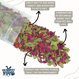 No Furries Delights Forage Mix,100% All Natural Botanical Herb Treat for Rabbit Hamster Guinea Pig Chinchilla Chicken Hermit Crab Gerbil Degu & Other Small Animals (Ultimate Forage Mix 30g)