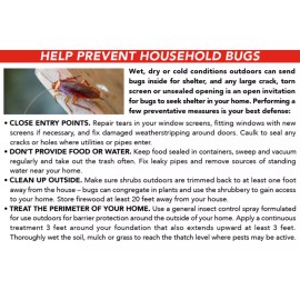 Eliminator Indoor Bug Roach & Spider Insect Killer Aerosol Spray Pack Of 2 Kill On Contact