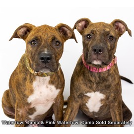 Country Brook Petz - Pink Waterfowl Camo Martingale Dog Collar - Camouflage Collection Featuring Rugged Designs (1 Inch, Medium)