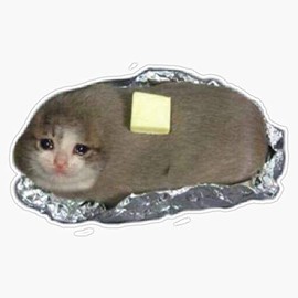 Leyland Designs Butter Cat Sticker Outdoor Rated Vinyl Sticker Decal for Windows, Bumpers, Laptops or Crafts 5"