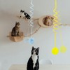 HFZRZFH 3 Pack Door Hanging Interactive Cat Spring Toys with