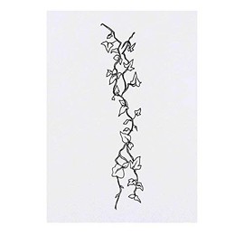 'Ivy Vines' Temporary Tattoo - Water Resistant, Skin-Safe, Non-Toxic Transfer (TO00021043)