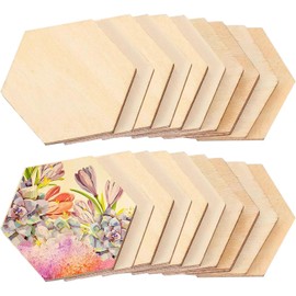 Hexagonal Natural Wood Discs, 20 Pieces, 10 cm Wooden Panel, Hexagonal, Unfinished Wooden Panel for Crafts for Pyrography, Painting, Hanging Decorations