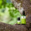 Primavera PRIMAVERA Lebenslust Duftmischung 5 ml - Grapefruit, Spearmint und