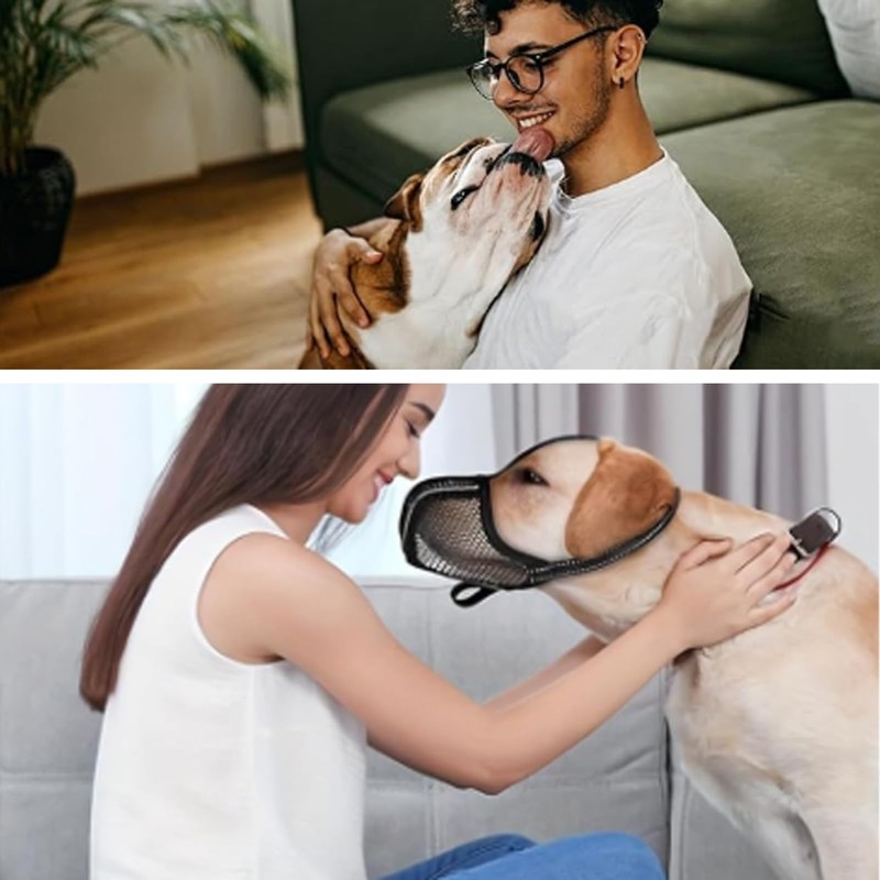 Wjelet 1 x Muzzle for Large Dogs, Prevent Eating, Chewing