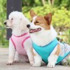 Dog Cooling Vest,1PC Breathable Mesh Dog Cooling Jacket Coat with