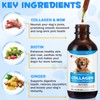 Collagen for Dogs - Skin and Coat Supplement for Dog,