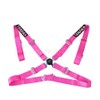 TANAKA X 2 TANAKA UNIVERSAL PINK 4 POINT CAMLOCK RACING