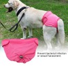 TOPINCN Ropa Interior Perros Tela Algodón Pantalones Fisiológicos Flexibles Cachorro