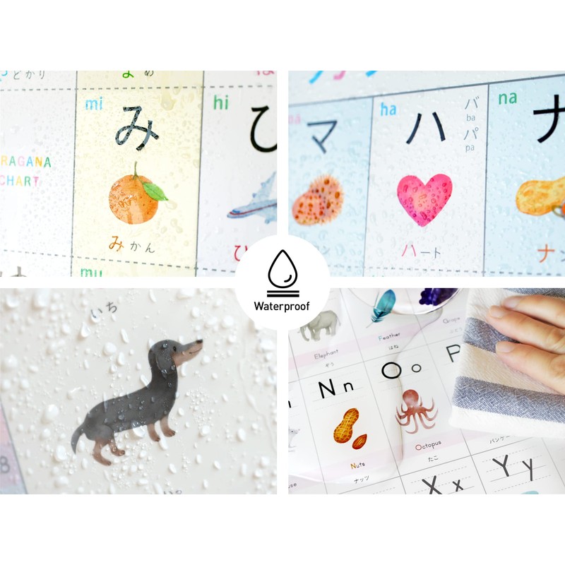 Enchante Study Poster Set of 4 (Hiragana | Katakana |
