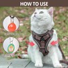 TYXHXTF Cat Harness with Lead, Escape Proof Set, Cats Automatic