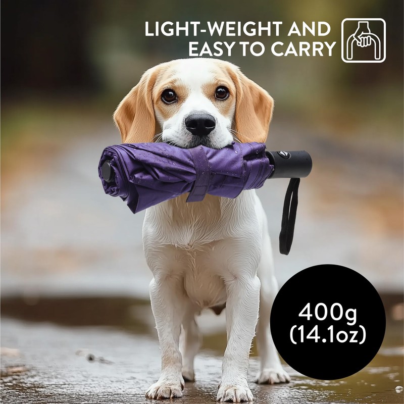 SWISSONA Umbrella, Windproof, Lightweight and Compact, Automatic Open-Close Including Umbrella