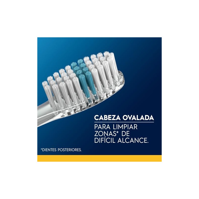 Oral Cepillo Dientes Indicator Cerdas Suaves Uds